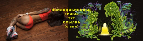 круглые Алексеевка