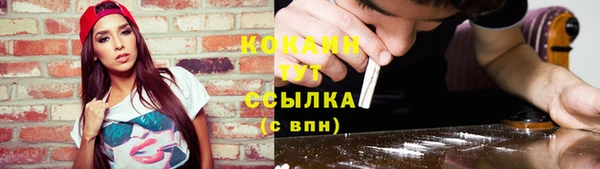 тгк Алексин