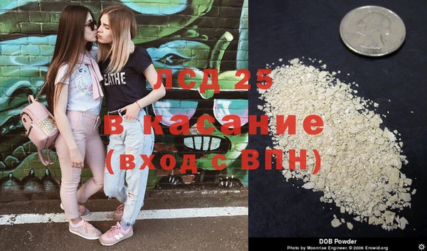 амф Алзамай
