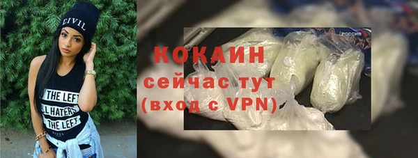 тгк Алексин