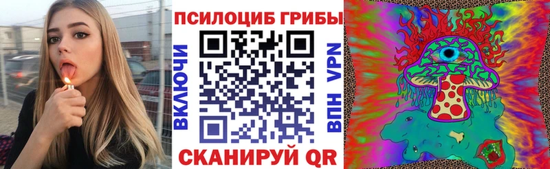 Псилоцибиновые грибы мицелий  магазин продажи   Дзержинский 